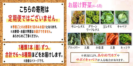 野菜セット 季節毎の新鮮野菜セット 詰め合わせ 旬 【野菜セット】【ho1537】