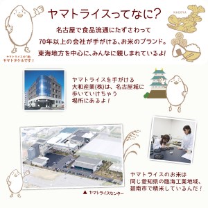 愛知県産コシヒカリ 10kg(5kg×2袋) ※定期便6回 安心安全なヤマトライス H074-553