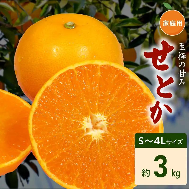 【2027年先行予約】家庭用 せとか 和歌山 有田 S～4Lサイズ 大きさお任せ 約3kg_DZ6207