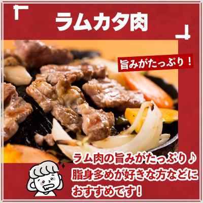 ふるさと納税 遠野市 秘伝のタレ漬け熟成ジンギスカン(ラムカタ)120g×3袋 冷凍 |  | 02