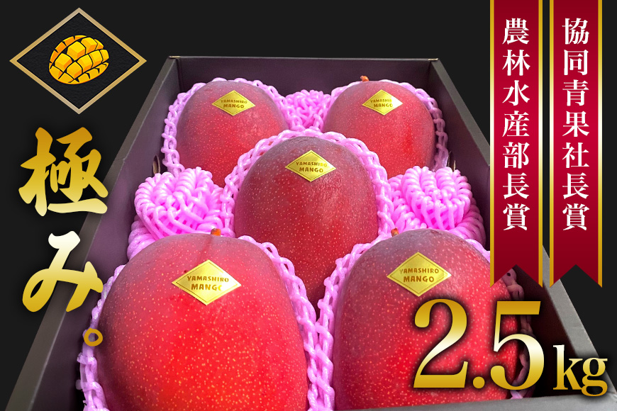 【2026年発送】沖縄県産マンゴー『極み。』2.5kg 山城マンゴー屋 102-3