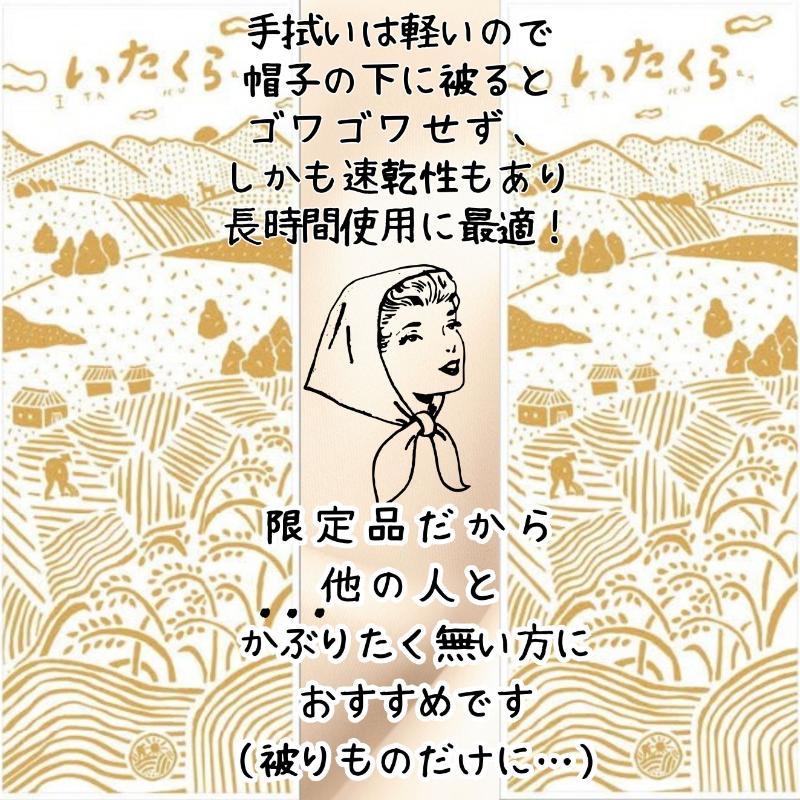 いたくらいいとこてぬぐい（黄色）手ぬぐい お土産 上越市 雑貨 タオル