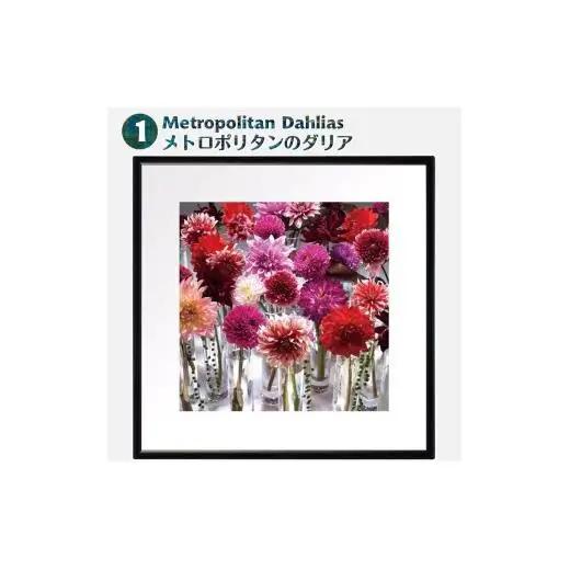 日比谷花壇のフラワーフレームアート Metropolitan Dahlias（メトロポリタンのダリア） ソフケン アルミフレーム 25x25cm アートポスター ポスターフレーム 花ポスター インテリ