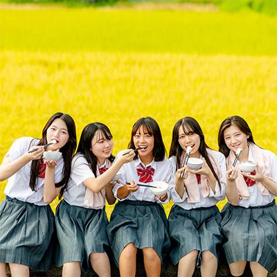 ふるさと納税 十日町市 【毎月定期便】女子高生×雪の魚沼!県認証特栽魚沼コシ6kg+みそ各2×12全12回 |  | 02