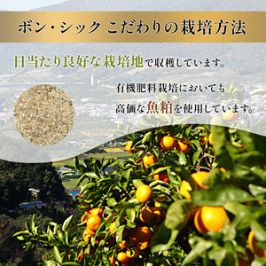 みかん 特秀 名匠 5kg 三ヶ日 S〜M 果物 フルーツ みかん