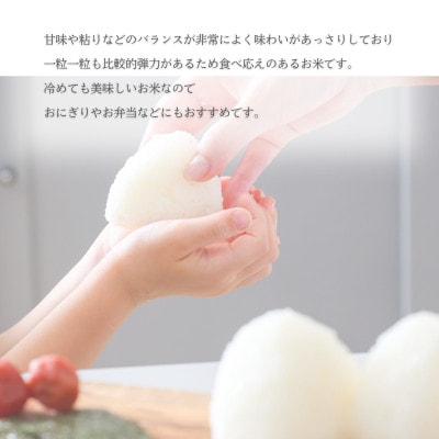 【ふるさと納税】令和7年産 愛媛県産 ヒノヒカリ 10kg 【V003280K10】【1682405】