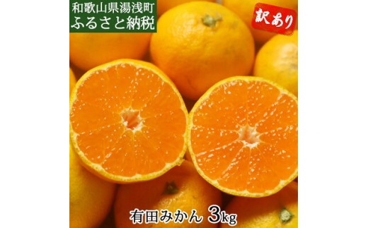 
                  【2026年先行予約】和歌山県産 有田みかん 約3kg 【訳あり 家庭用】 (サイズおまかせ)_DI6004n
                