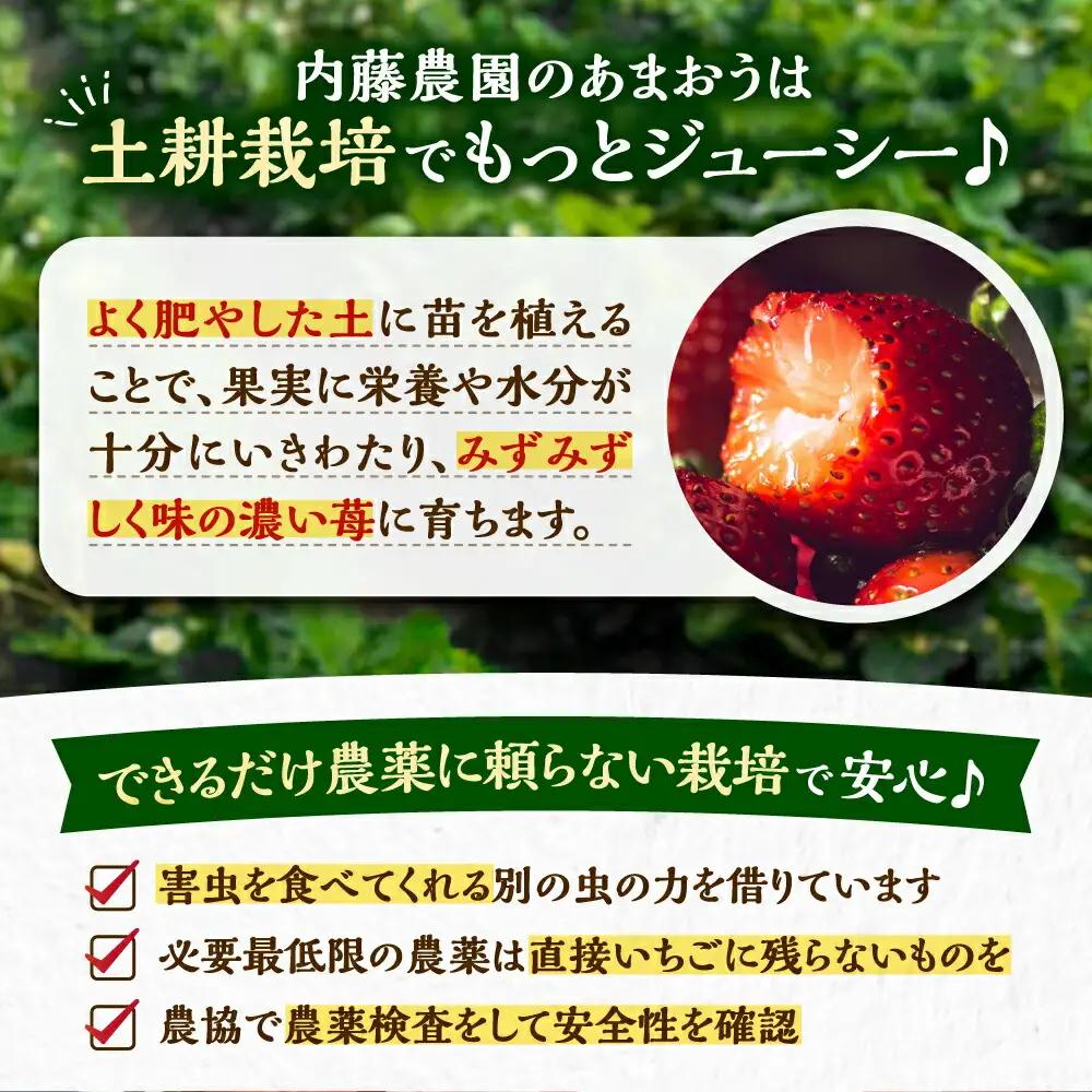 【先行予約】【2月-4月発送】農家直送 あまおう 厳選デラックスG 270g以上×4P VAB001 果物 あまおう