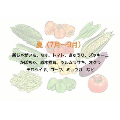 ふるさと納税 南伊豆町 湯の花　旬の野菜と果物セット |  | 02