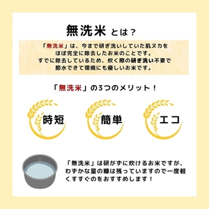 新米予約 《定期便12ヵ月》【無洗米】特別栽培米サキホコレ10kg(5kg×2)×12回 合計120kg 令和7年産 秋田県 にかほ市 お米 米 こめ