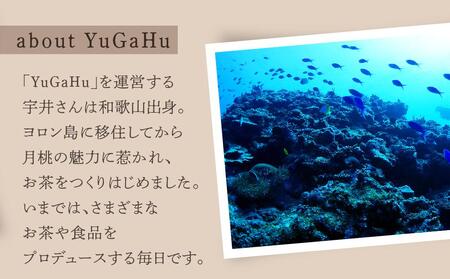 【与論島産】月桃の花茶（ノンカフェイン）|お茶 茶葉 月桃茶 お茶  月桃 ティーバック お茶 ノンカフェイン