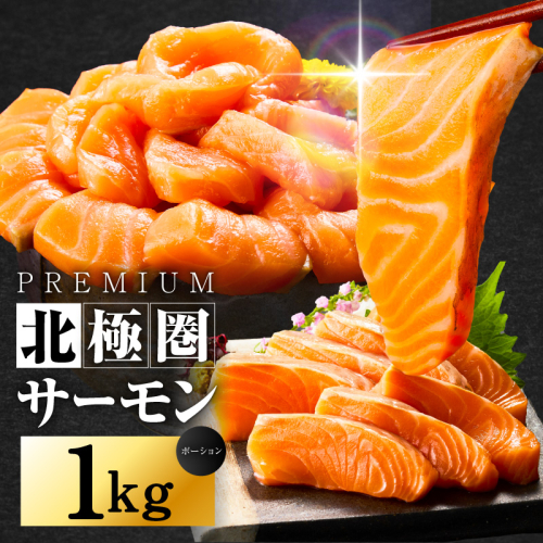 北極圏サーモン ポーション 1kg【高級 小分け 海鮮丼 人気 オススメ 小分け 冷凍 簡単調理 一人暮らし】 015B288-1