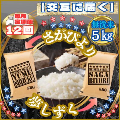 ふるさと納税 江北町 【毎月定期便】【無洗米】食べ比べ5kg(さがびより・夢しずく)(江北町)全12回