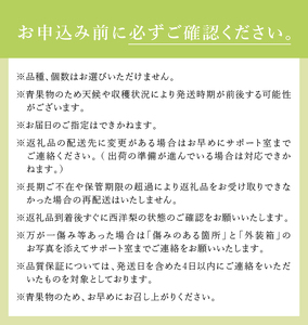 【2024年先行予約】糖度14度以上の極上品　大玉西洋梨 約2.8㎏（4～11個）