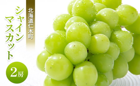 [先行受付] 北海道 仁木町  シャインマスカット 2房 ブドウ 葡萄 マスカット 果物 くだもの フルーツ [嶋田茂農園匠]