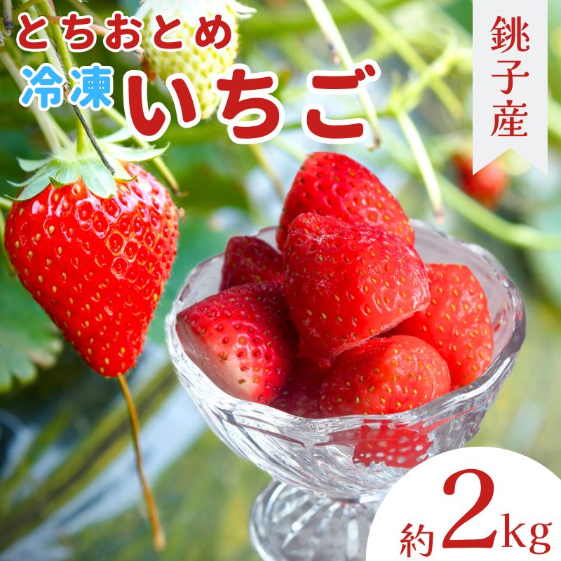 【ふるさと納税】 （先行予約）冷凍イチゴ 2kg (1kg × 2） 萩谷園芸 銚子産 とちおとめ 苺 いちご イチゴ 真空パック 冷凍 冷凍フルーツ カットフルーツ フルーツ ジャム スムージー ヨーグルト 10000円 ふるさと納税 ふるさと納税いちご 送料無料 千葉県 銚子市 萩谷園芸