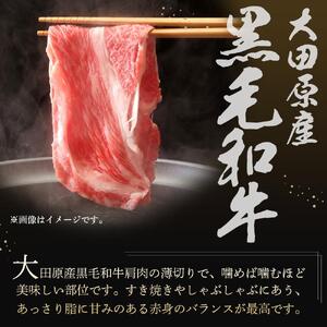 大田原産 黒毛和牛 肩 すき焼き・しゃぶしゃぶ用　500g×2