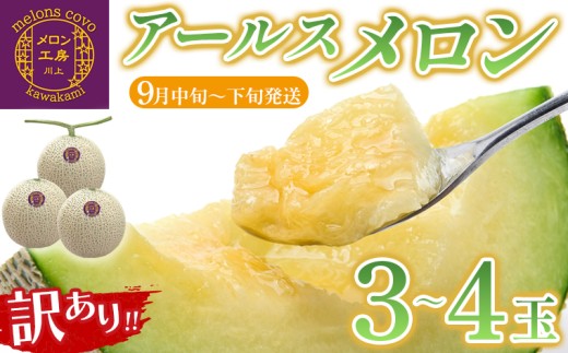 写真はイメージです