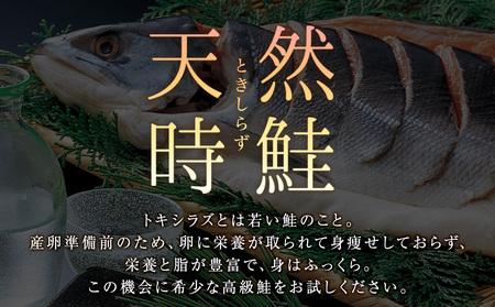 白老町産 時鮭 トキシラズ 500g 真空パック〈斉藤水産〉