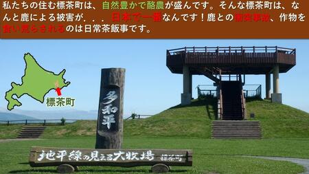 ＜標茶高校食品ゼミ鹿班が北海道からお届け＞エゾシカ肉　ウインナーソーセージ　5本×3パック　計300g前後　| 鹿肉