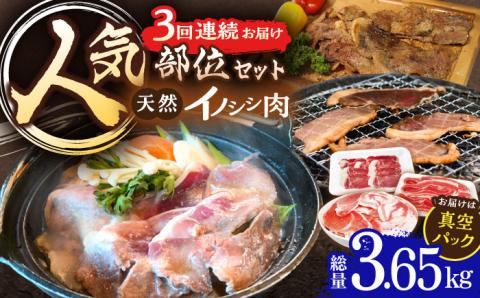 【3回定期便】ジビエ 天然 猪肉 人気部位 総量3.65kg【照本食肉加工所】[OAJ076] / 猪肉 いのしし  猪 猪鍋 ぼたん鍋 肉 切り落とし肉 スライス肉 ミンチ肉 いのしし肉