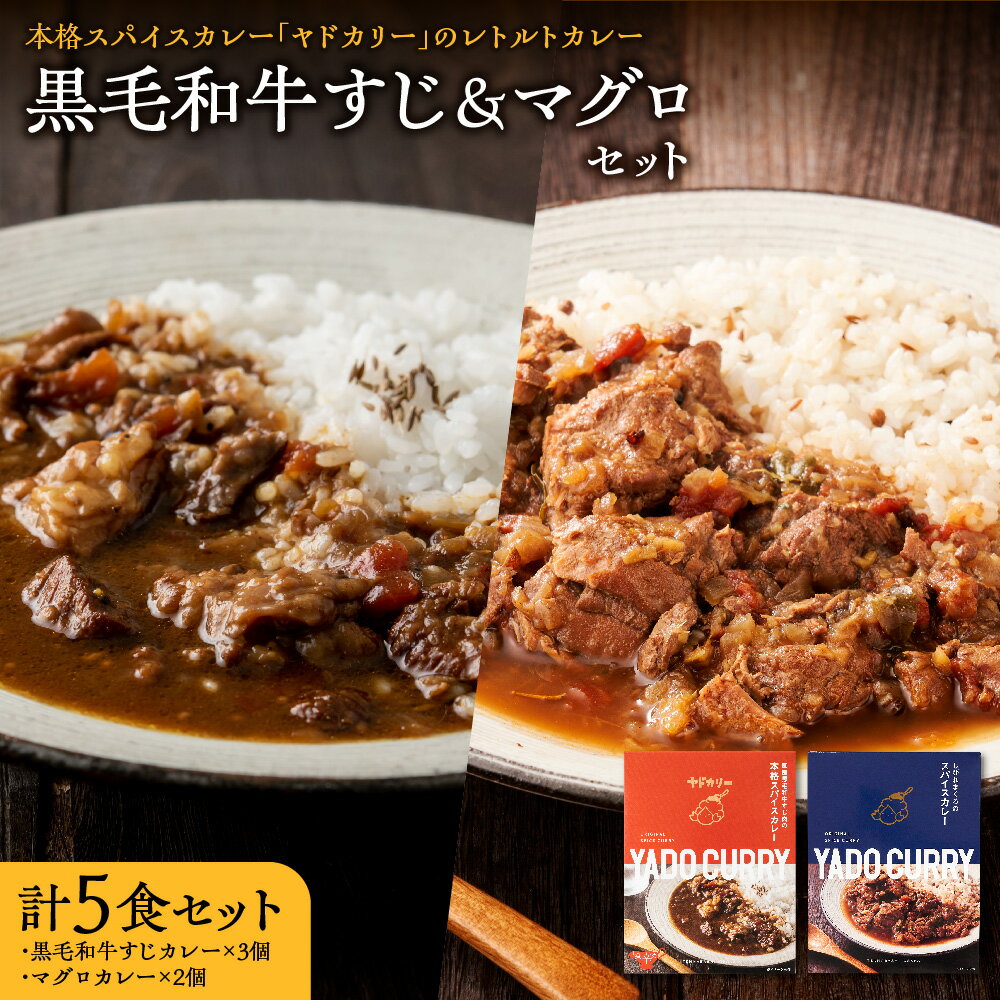 【ふるさと納税】【近鉄百貨店】ヤドカリー レトルトカレー 黒毛和牛すじ マグロ 5食セット 大阪天満橋 本格スパイスカレー 国産牛すじ 生姜 山椒 しびれる辛さ とろとろ 送料無料 大阪市
