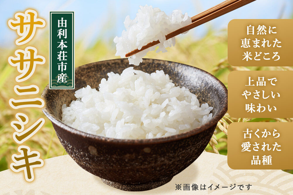 令和7年産【無洗米】特別栽培米 ササニシキ 5kg 秋田県産 [ササニシキ 米 お米 白米 精米 無洗米 特別栽培米 ブランド米 食卓 秋田県産 秋田県 由利本荘市]