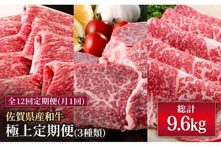【12回定期便】佐賀産和牛 極上定期便 / 牛肉 肉 国産牛 冷凍  [IAG073]