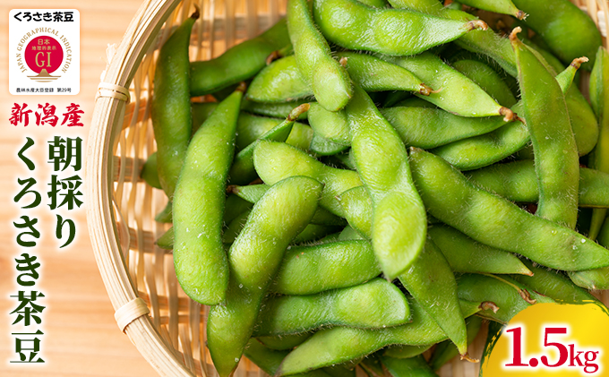 朝採り・新鮮・直送　くろさき茶豆1.5kg『7月下旬～順次発送』朝採りくろさき茶豆1.5kg 新鮮野菜 新鮮茶豆 枝豆 朝採り茶豆 国産野菜 とれたて野菜芳ばしい香り 深い甘み コク 歯ごたえ 本茶豆 ピカリ茶豆