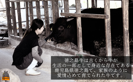 南原（はいばる）牧場 幻の徳之島牛 リブローススライス 1000g ( 厳選 ロース プレミアム 高品質 鹿児島黒毛和牛 黒毛和牛 牛肉 万能 料理 徳之島 奄美 鹿児島 すき焼き しゃぶしゃぶ 和牛