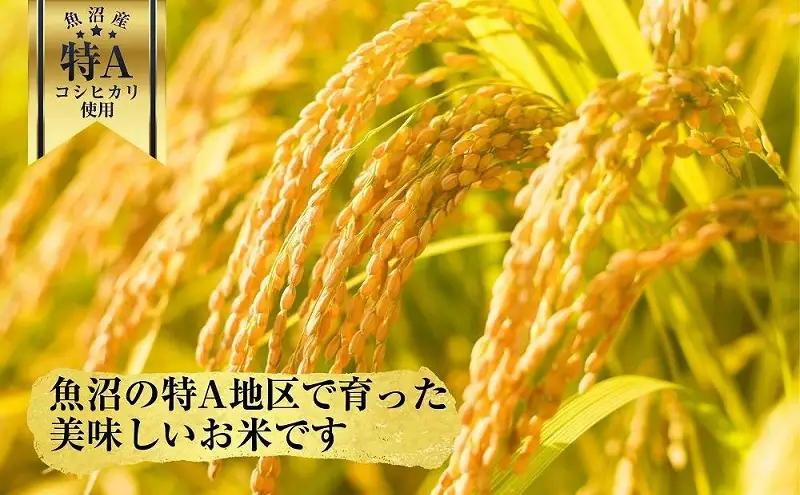 新潟県 魚沼産 備蓄 コシヒカリ ご飯 200g×30 パック ごはん レンジ 簡単 巣籠り 無添加 パックご飯 ごはんパック ブランド米 便利 簡単調理 温めるだけ 