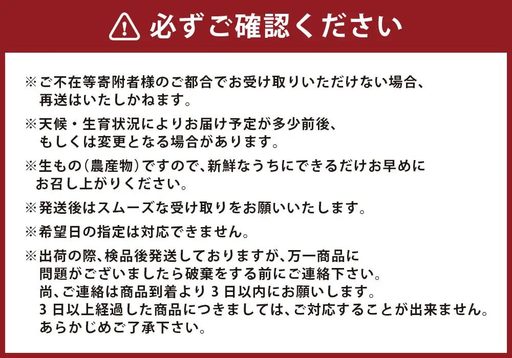 やまだ果樹園の完熟みかん　５ｋｇ　みかん 太良みかん 温州みかん 完熟みかん 国産みかん 小玉みかん 大玉みかん 佐賀県 太良町 L32x1 【2026年11月上旬-2027年1月上旬発送予定】