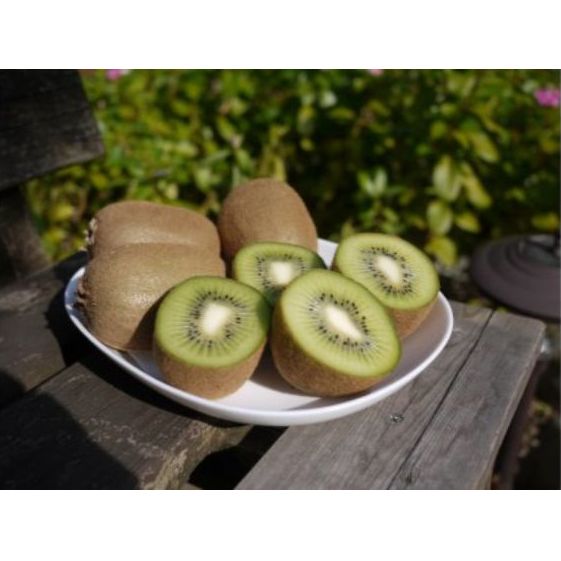 【ふるさと納税】マキノキ園のキウイフルーツ【ヘイワード】4kg箱[52210462] 果物類 くだもの 　お届け：2025年12月上旬～2026年1月下旬