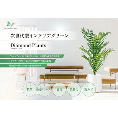 【ふるさと納税】次世代型インテリアグリーン　DiamondPlants　Grande【リビング 寝室】 ナノダイヤモンド 触媒 コーティングして 抗菌 抗ウィルス 消臭 防カビ 抗酸化作用 植物