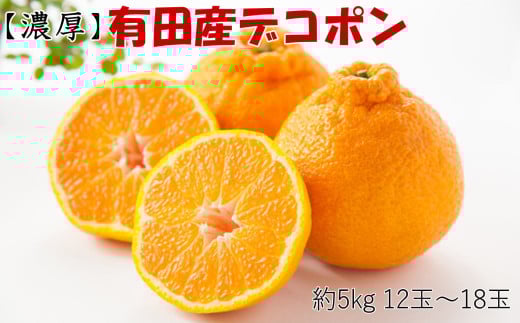 【お味濃厚】紀州有田産の大玉デコポン約5kg（12玉～18玉入り・青秀以上）※2026年1月中旬～2026年3月中旬頃順次発送【tec811B】