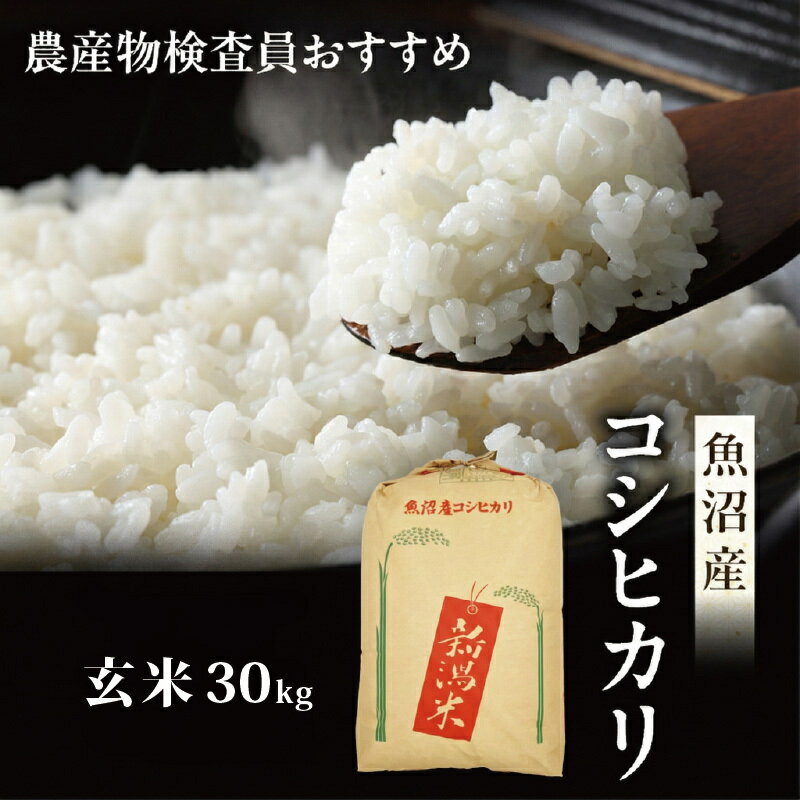 【ふるさと納税】令和7年産 真砂屋厳選 魚沼産コシヒカリ（玄米）30kg お米 コメ こしひかり 新潟県 魚沼市 魚沼　お届け：寄附入金確認後、随時発送