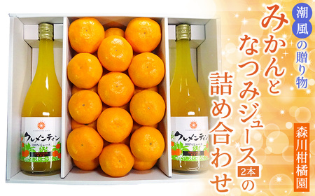 N-89 潮風の贈り物～みかんとなつみジュース（2本）の詰め合わせ～ みかん 24玉 なつみジュース 720ml 潮風みかん  森川柑橘園 太良町 太良みかん 温州みかん こだわりの栽培方法 なつみ 100％ジュース みかんジュース ミカンジュース 蜜柑ジュース 詰め合わせ セット品 みかん ミカン 蜜柑 フルーツ くだもの 果物 ミネラル豊富 太良町 国産 贈答用