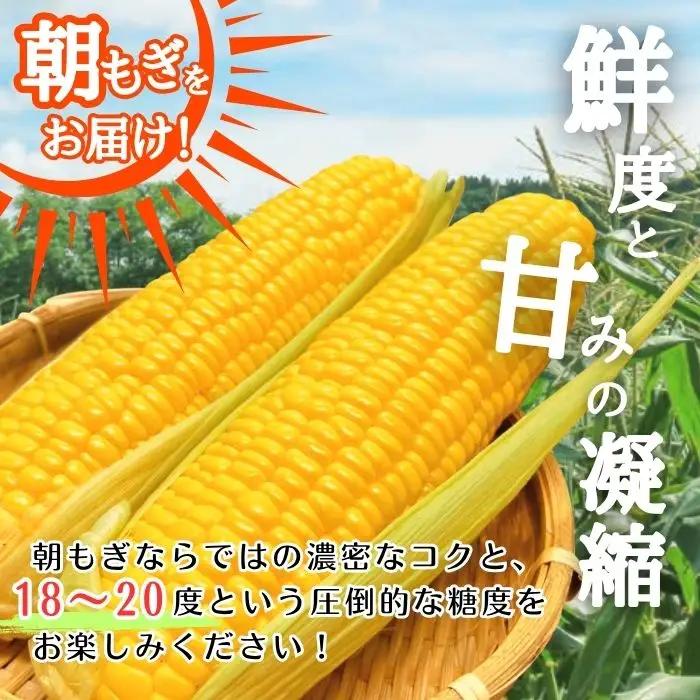 【2026年8月上旬から発送】北海道とままえ産 スイートコーン 2Lサイズ 7本 とうもろこし 北海道産 先行 予約 受付 甘い 旬 産地直送 野菜 冷蔵 北海道 苫前町 とままえ rum10
