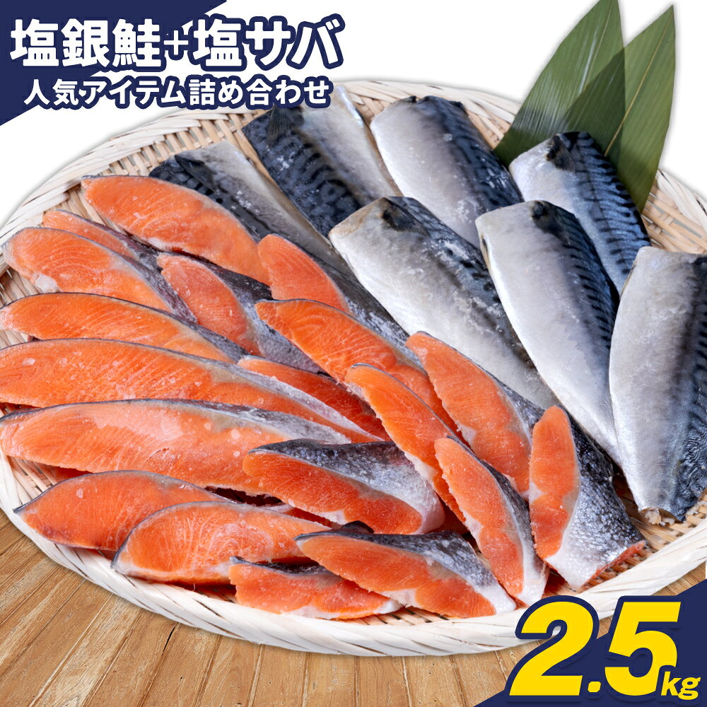 【ふるさと納税】訳あり 人気アイテム 詰め合わせ 塩銀鮭 切り落とし 1.5kg + 塩サバ 1kg 合計 約 2.5kg 株式会社西川 《3-7日以内に出荷予定(土日祝除く)》千葉県 勝浦市 塩銀鮭 塩サバ 魚 切り落とし 冷凍 訳あり 手作り 惣菜【配送不可地域あり】(離島)