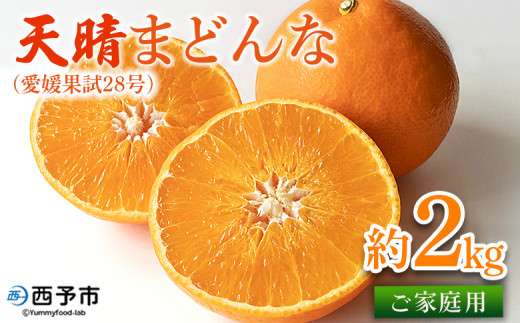 【先行予約】紅まどんなと同品種！＜天晴まどんな（愛媛果試28号）ご家庭用 約2kg＞ マドンナ 訳あり 果物 くだもの フルーツ みかん ミカン 柑橘 天晴農園 あっぱれのうえん 特産品 愛媛県 西予市【常温】