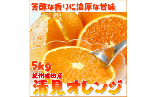 
とにかくジューシー清見オレンジ　5kg
