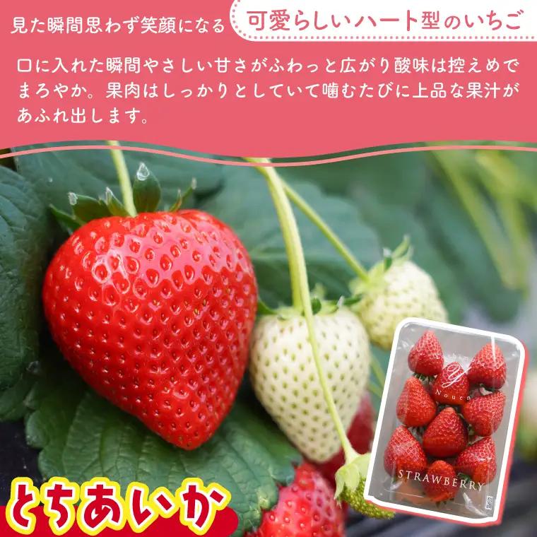 とちあいか 250ｇ×4パック 益子町 DS001