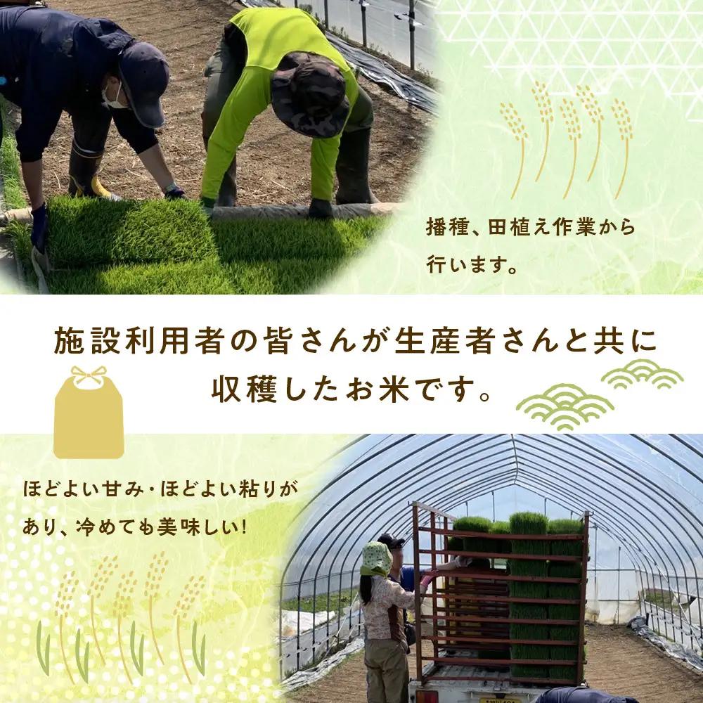 ふくしえんのおこめ（ななつぼし）10kg  | ななつぼし_01889