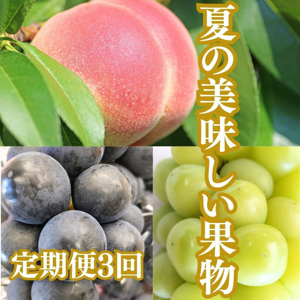 【ふるさと納税】【2026年度先行予約】【定期便3回】夏の美味しい果物