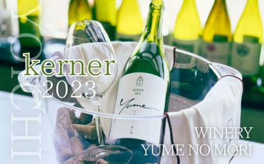 【数量限定】余市「ワイナリー夢の森」ケルナー2023 750ml_Y034-0111