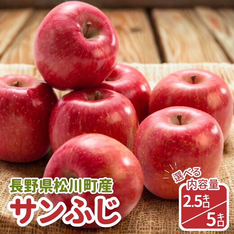 【ふるさと納税】りんご サンふじ約2.5kg(小玉) or 約5kg／11月下旬～12月上旬ごろ配送 //長野県 南信州 贈答 ギフト お歳暮 ふじ フジ さんふじ 新鮮 林檎 リンゴ サンふじ サンフジ ふじりんご 約2kg 約5kg JA34 JA15