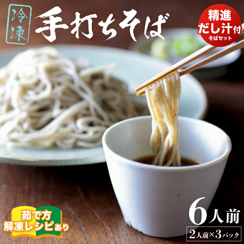 【ふるさと納税】【冷凍でお届け】精進出汁そば 6人前セット【 冷凍 あじき堂 精進 出汁 そば 蕎麦 蕎麦屋 手打ちそば 手打ち蕎麦 そばセット 健康食 石臼挽き蕎麦粉 そば処 綾部 京都 】