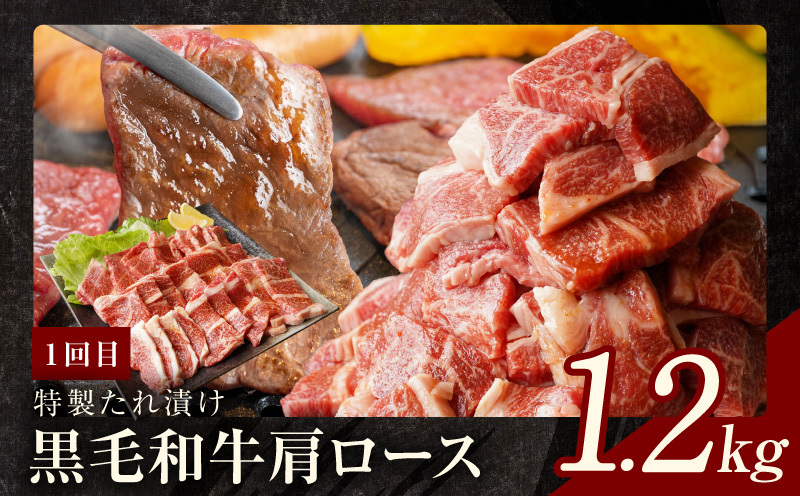 焼肉定期便 総量3.4kg（肩ロース／牛タン／牛ハラミ）全3回 丸善味わい加工【毎月発送コース】 099Z241_イメージ3