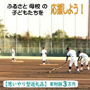 【ふるさと納税】 ふるさと母校の子どもたちを応援しよう！（寄附額3万円）／ 思いやり型返礼品 支援 応援 返礼品無し 部活動