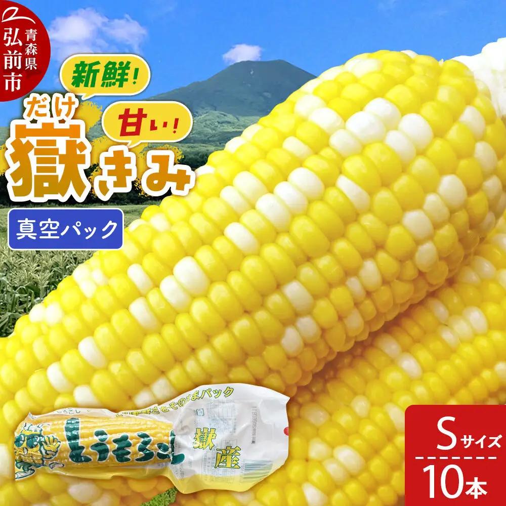 【26年10月中旬～発送】とうもろこし 嶽きみ真空パック Sサイズ 10本 しらかみラボ